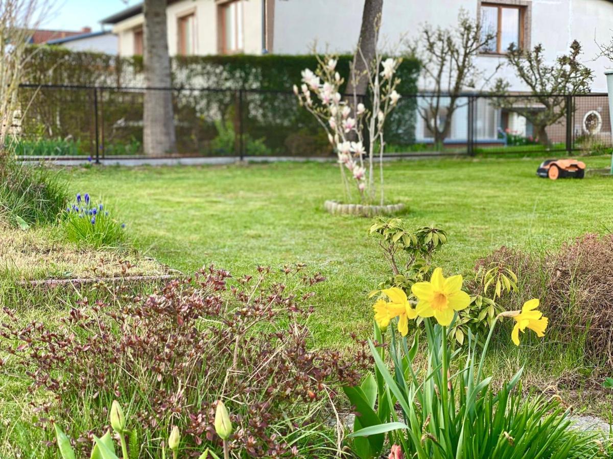Fewo Sunshine Heringsdorf  Esterno foto