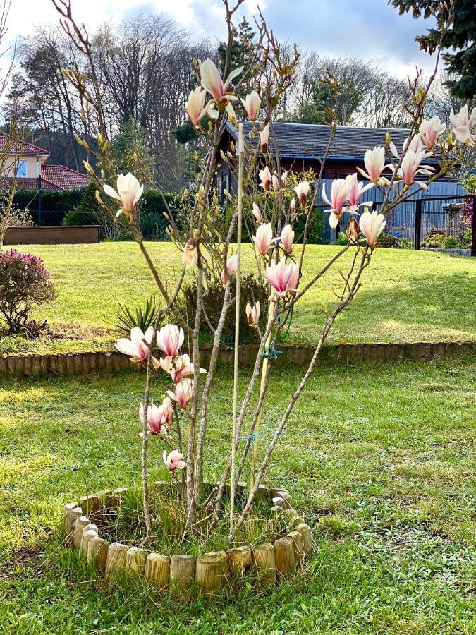Fewo Sunshine Heringsdorf  Esterno foto